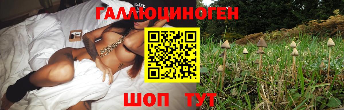 Галлюциногенные грибы Magic Shrooms  Вход с VPN  как найти   Заречный 