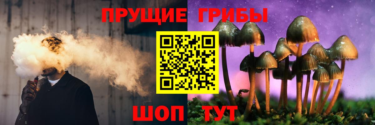 Галлюциногенные грибы мицелий Заречный